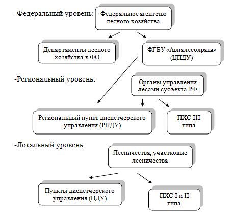 Курсовая работа: Лесное хозяйство Российской Федерации